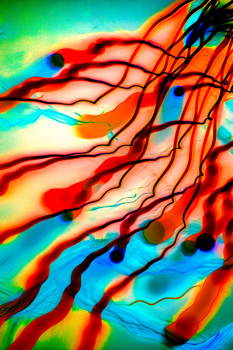 Color-Art-063-170501