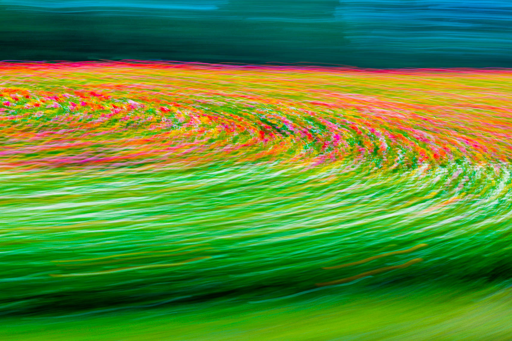 Trees-Art-008-170501