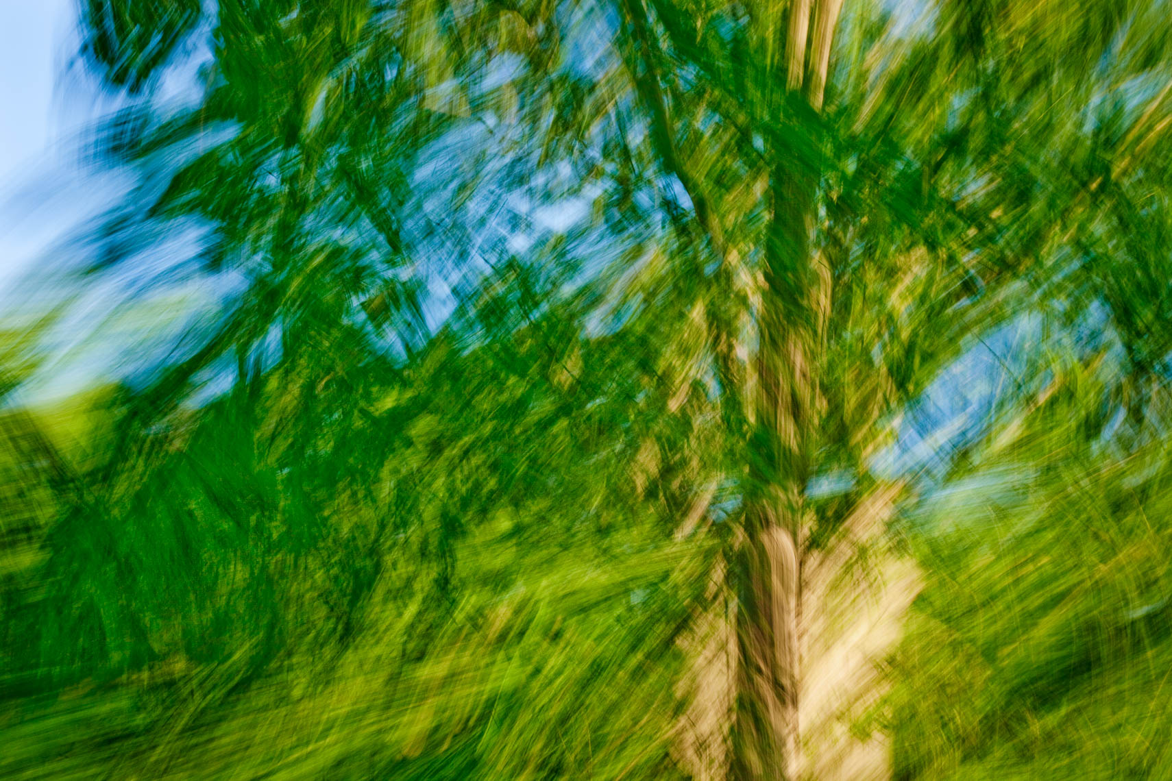 Trees-Art-012-170501