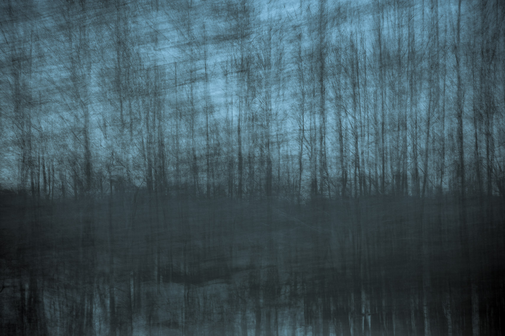 Trees-Art-039-170501