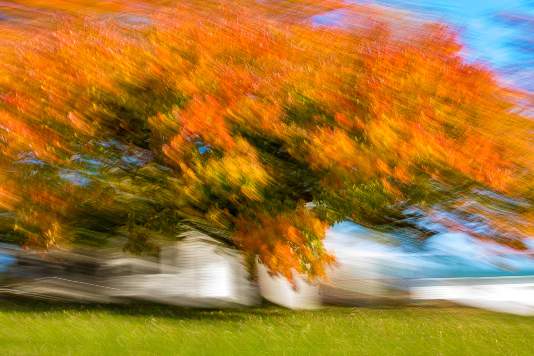Trees-Art-054-170501